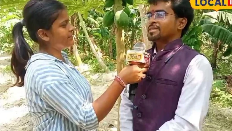 सरकारी नौकरी को कहा अलविदा, पपीते की खेती से सालाना 30-35 लाख की कमाई; गांव के 25 लोगों को दिया रोजगार