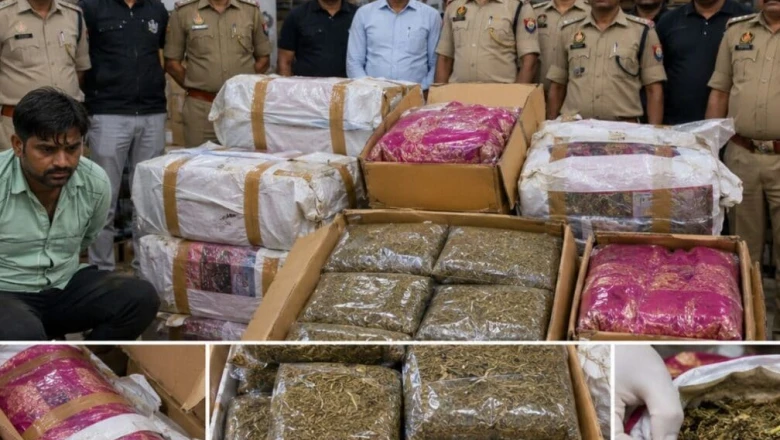 वाराणसी में 'सिल्क साड़ी' के डिब्बों में छिपा 123 किलो गांजा बरामद, फर्जी रसीदों से चल रहा था तस्करी का खेल