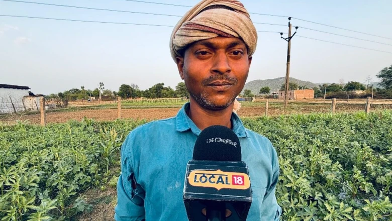 75 डिसमिल भिंडी की खेती ने बदली किस्मत! 20 हजार लगाकर किसान ने कमाए 70 हजार रुपये