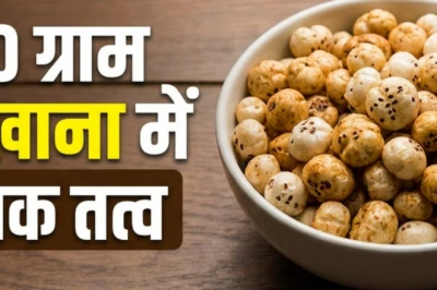 100 ग्राम मखाने में कितना पोषण? जानें क्यों इसे सेहत का सुपरफूड कहा जाता है