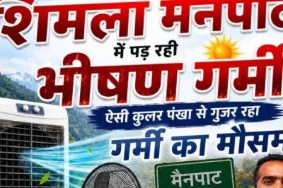 ठंड के लिए मशहूर मैनपाट अब गर्मी की चपेट में, 40 डिग्री तापमान से लोग परेशान