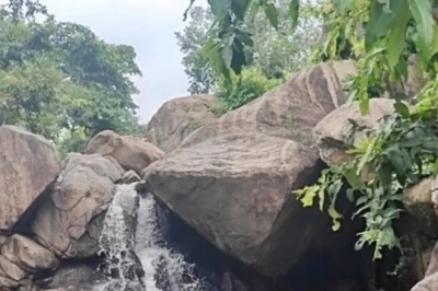 हरी वादियां और कल-कल बहता पानी, पलामू का घघरिया जलप्रपात बना जंगल में छिपा खास टूरिस्ट स्पॉट