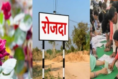 जयपुर का रोजदा गांव: गुलाबों की महक और नशामुक्ति की अनूठी मिसाल, जानिए पूरी कहानी