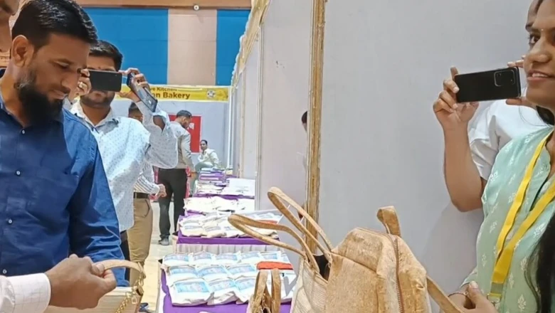 केला सिर्फ फल नहीं, मुनाफे का खजाना! एक पौधे से दर्जनभर कारोबार के मौके