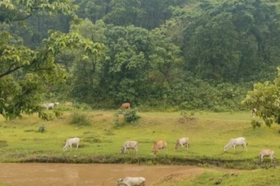 रांची की बजट यात्रा: सिर्फ ₹500 में लीजिए हिल स्टेशन जैसा आनंद, जरूर देखें ये खूबसूरत जगहें