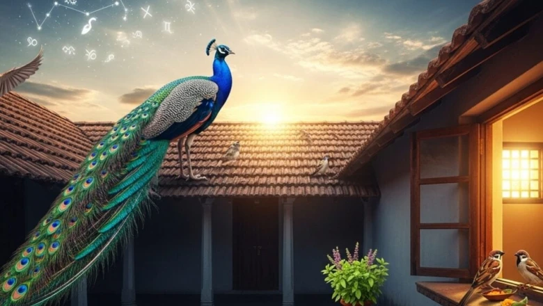 नीलकंठ हो या गौरैया... घर में इन पक्षियों का आना क्यों कहलाता है सौभाग्य का संकेत? जानिए मान्यता