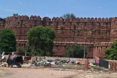 आगरा किले की दीवारों पर उग आए जंगली पौधे, संरचना को मंडरा रहा बड़ा खतरा