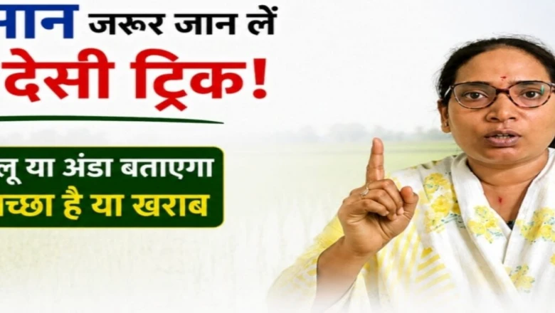 धान की बुआई से पहले अपनाएं यह देसी तरकीब, अच्छे और खराब बीजों की हो जाएगी पहचान
