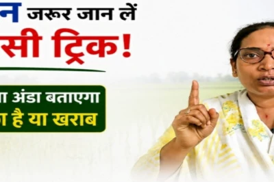 धान की बुआई से पहले अपनाएं यह देसी तरकीब, अच्छे और खराब बीजों की हो जाएगी पहचान