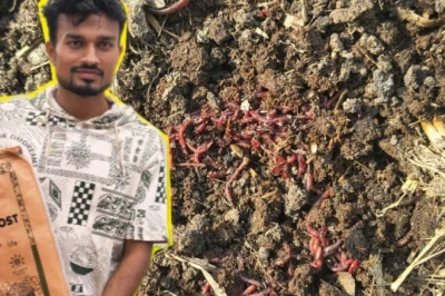 साइबर सिक्योरिटी की पढ़ाई के बाद खेती में उतरे नरेंद्र, केंचुआ खाद से बना डाला कामयाब कारोबार