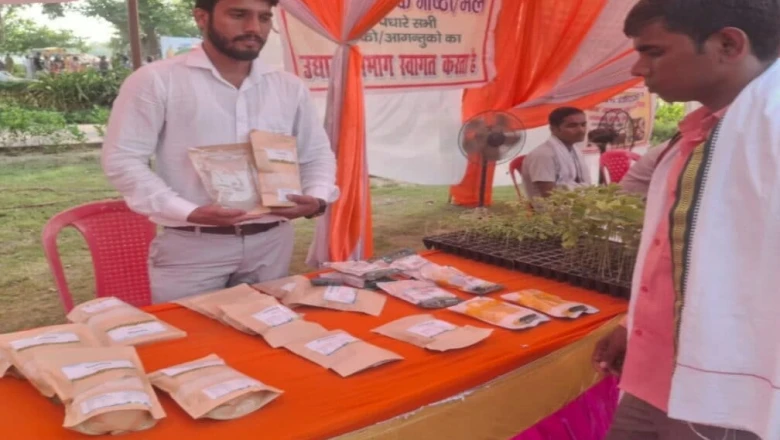 बहराइच का 'रॉयल भोग' बासमती बना किसानों की नई कमाई का जरिया, खुशबू का हर कोई कायल