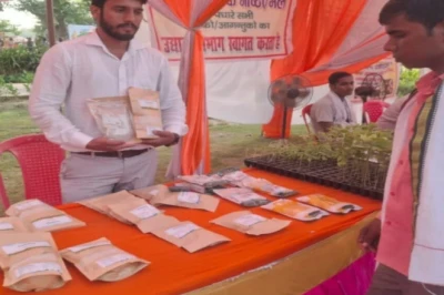 बहराइच का 'रॉयल भोग' बासमती बना किसानों की नई कमाई का जरिया, खुशबू का हर कोई कायल