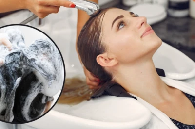 रोज शैम्पू करें या हफ्ते में दो दिन? जानिए एक्सपर्ट की राय