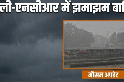 दिल्ली-NCR में अचानक पलटा मौसम, तेज आंधी और झमाझम बारिश से कई जगह उखड़े पेड़