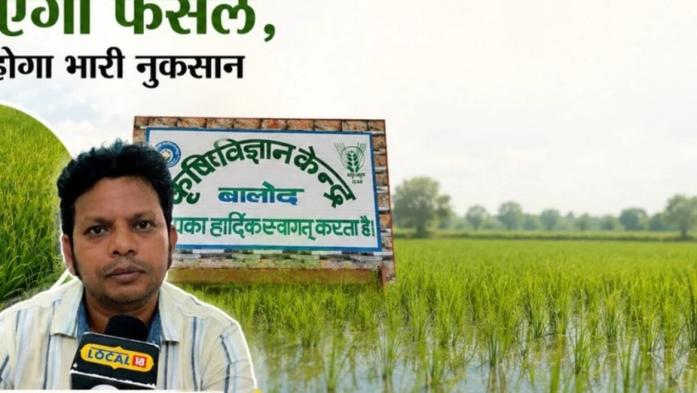 खेत में जमा रहता है ज्यादा पानी? धान की यह किस्म बचाएगी फसल, जानें एक्सपर्ट की राय