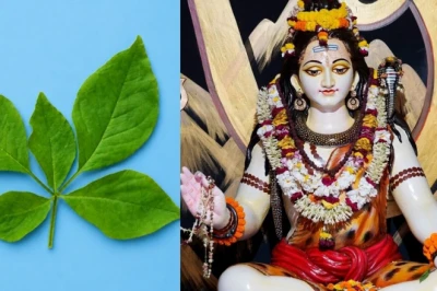 पंचमुखी बेलपत्र: सौभाग्य का दुर्लभ संकेत, जानें किन भाग्यवानों को होता है इसका दर्शन