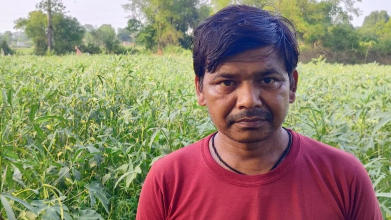 सिर्फ 60 डिसमिल जमीन पर भिंडी की खेती से अनिल शाव ने 3 महीने में कमाए 90 हजार रुपये, छोटी जोत बनी कमाई का जरिया