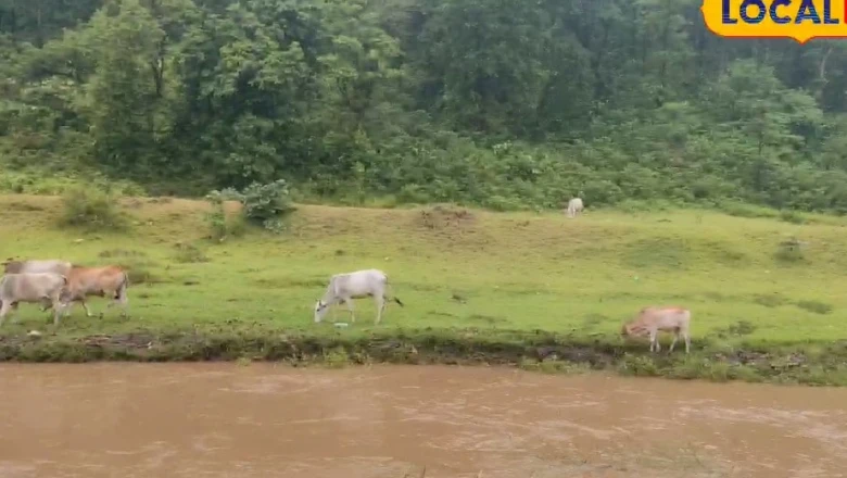 जंगल के बीच बहता 'गूंगा नाला', रांची की यह अनदेखी जगह दे रही कश्मीर-मनाली को टक्कर