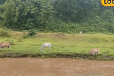 जंगल के बीच बहता 'गूंगा नाला', रांची की यह अनदेखी जगह दे रही कश्मीर-मनाली को टक्कर