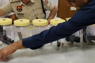 रोहतक पुलिस ने नाकाम की पांच हत्याओं की साजिश, 7 पिस्तौल और 80 कारतूस समेत तीन युवक गिरफ्तार