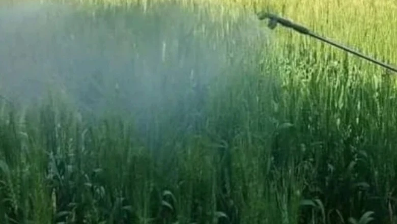 खाद की किल्लत से परेशान किसानों के लिए राहत, अपनाएं ये किफायती विकल्प और बढ़ाएं पैदावार