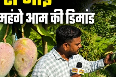 दुनिया का सबसे महंगा आम 'मियाजाकी' चखेंगे पीएम मोदी, दुबई से भी मिला ऑर्डर, सीसीटीवी से हो रही 'रेड गोल्ड' की रखवाली