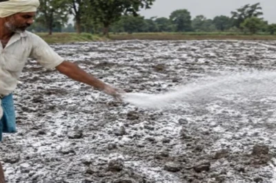 खरीफ की फसल का उत्पादन बढ़ाएगा खेत में चूने का प्रयोग, पलामू के कृषि वैज्ञानिक ने बताया सही तरीका
