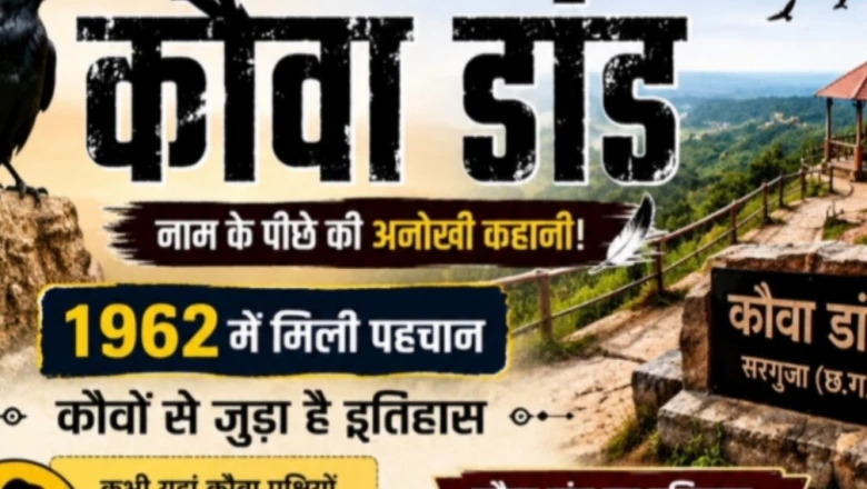कौवों के नाम पर बसा अनोखा गांव! 1962 की तिब्बती बसाहट से जुड़ी है 'कौवा डांड' की दिलचस्प कहानी