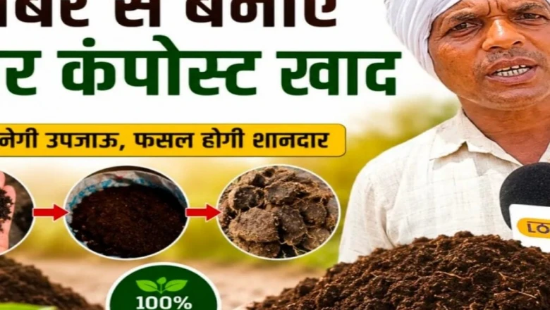 घुरुवा का सूखा गोबर सीधे खेत में डालने से बचें, सुपर कंपोस्ट खाद बनाकर पाएं फसल और मिट्टी दोनों का फायदा