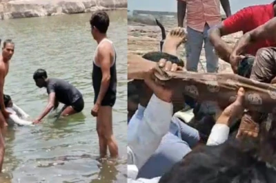 बारां: शादी में आए चार मेहमानों को पार्वती नदी ने एक साथ लील लिया