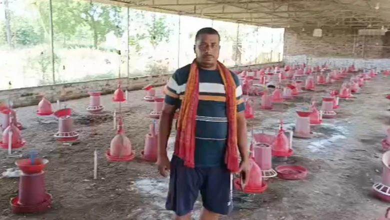 नालंदा में अनोखी चोरी: पोल्ट्री फार्म से उड़ा ले गए 2500 मुर्गियां, उस रात पहरेदार बेटा परीक्षा देने गया था