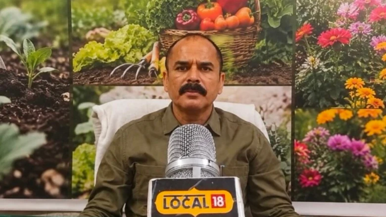 गेहूं-धान में मुनाफा नहीं? तो शुरू करें बागवानी, खर्च उठाएगी सरकार, जानें पूरी प्रक्रिया