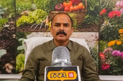 गेहूं-धान में मुनाफा नहीं? तो शुरू करें बागवानी, खर्च उठाएगी सरकार, जानें पूरी प्रक्रिया