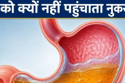 पेट का हाइड्रोक्लोरिक एसिड है बेहद घातक, फिर भी अपनी ही दीवारों को क्यों नहीं जलाता? जानें वजह