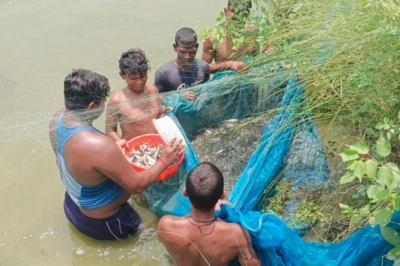 बजट में भी ले सकेंगे मछली का जायका, जहानाबाद में ₹150 किलो बिक रही पैंगेसियस, जानें रोहू, सिंघी और केवई के भाव