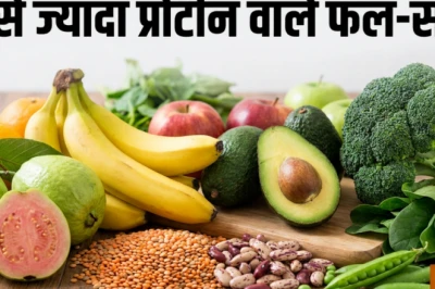 शाकाहारी लोगों के लिए कौन से फल और सब्जियां हैं प्रोटीन का सबसे बढ़िया स्रोत, जानें डॉक्टर की राय