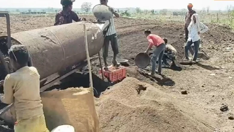 रासायनिक DAP-NPK को टक्कर देगी यह देसी खाद, खेत की मिट्टी बनेगी उपजाऊ और लागत होगी लगभग शून्य