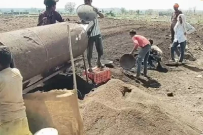 रासायनिक DAP-NPK को टक्कर देगी यह देसी खाद, खेत की मिट्टी बनेगी उपजाऊ और लागत होगी लगभग शून्य