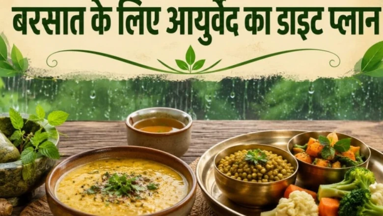 मानसून में सेहतमंद रहने का आयुर्वेदिक डाइट प्लान, जानें क्या खाएं और किनसे बनाएं दूरी