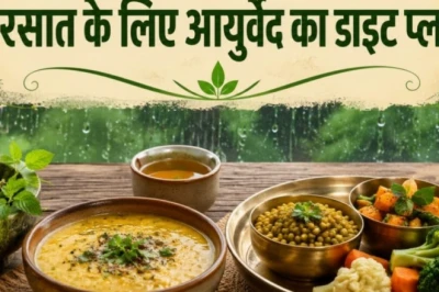 मानसून में सेहतमंद रहने का आयुर्वेदिक डाइट प्लान, जानें क्या खाएं और किनसे बनाएं दूरी