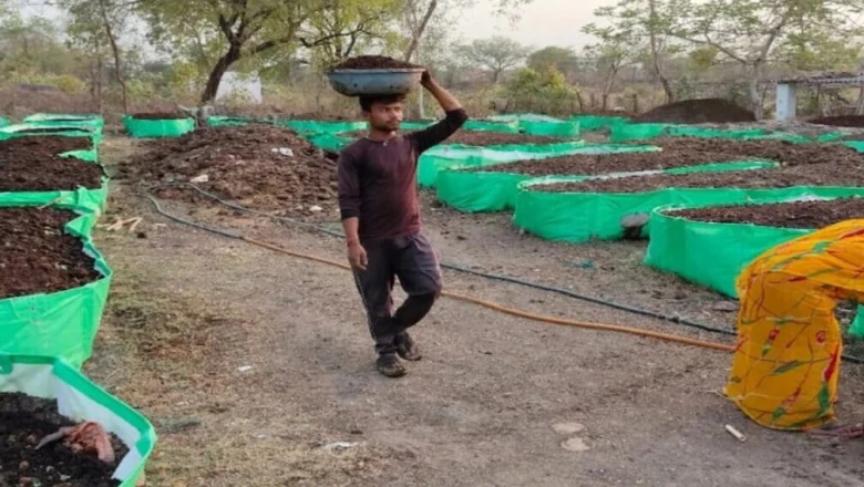 बारिश शुरू होते ही घर पर तैयार करें केंचुआ खाद, घटेगी खेती की लागत, विशेषज्ञ ने बताया सरल तरीका