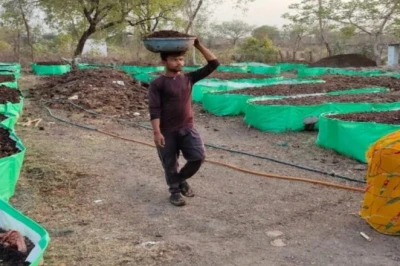 बारिश शुरू होते ही घर पर तैयार करें केंचुआ खाद, घटेगी खेती की लागत, विशेषज्ञ ने बताया सरल तरीका