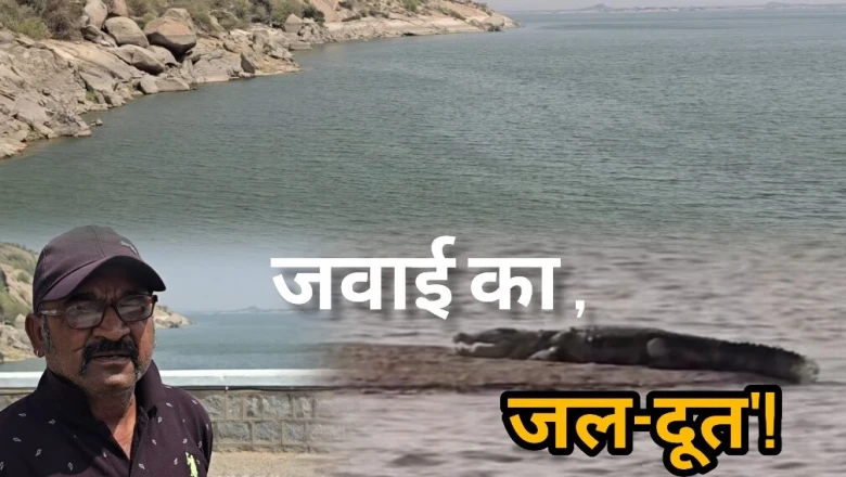 मगरमच्छों के बीच जान की बाजी, 35 वर्षों से डूबते लोगों के लिए मसीहा बने हरिभाई