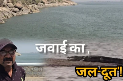मगरमच्छों के बीच जान की बाजी, 35 वर्षों से डूबते लोगों के लिए मसीहा बने हरिभाई