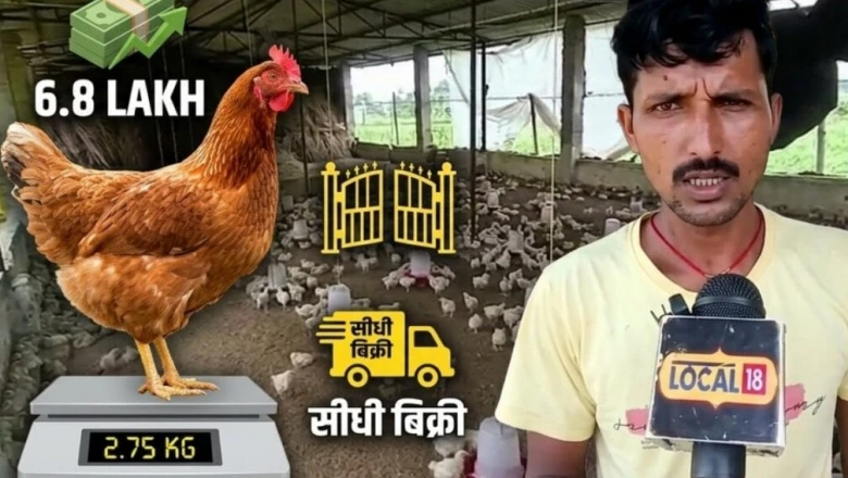 सिर्फ 45 दिन में बिक्री के लिए तैयार हो जाते हैं संजीत के मुर्गे, बेहतरीन गुणवत्ता से सीधी बिक्री और लाखों की कमाई