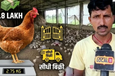 सिर्फ 45 दिन में बिक्री के लिए तैयार हो जाते हैं संजीत के मुर्गे, बेहतरीन गुणवत्ता से सीधी बिक्री और लाखों की कमाई