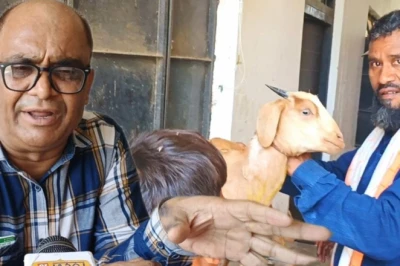 बकरी पालकों के लिए जरूरी सलाह! बरसात से पहले लगवाएं पीपीआर का टीका, टलेगा बड़ा खतरा