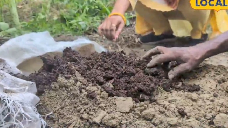 आम और लीची का बगीचा लगाने की योजना? पहले समझ लें कृषि वैज्ञानिक की यह अहम सलाह
