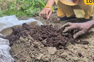 आम और लीची का बगीचा लगाने की योजना? पहले समझ लें कृषि वैज्ञानिक की यह अहम सलाह