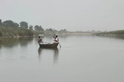जामुन की लकड़ी से बनती है सबसे मजबूत नाव, 5 साल तक नहीं सड़ती, पानी भी रहता है साफ